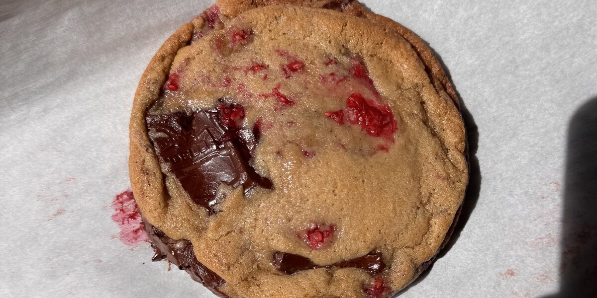 a dark chocolate raspberry cookie